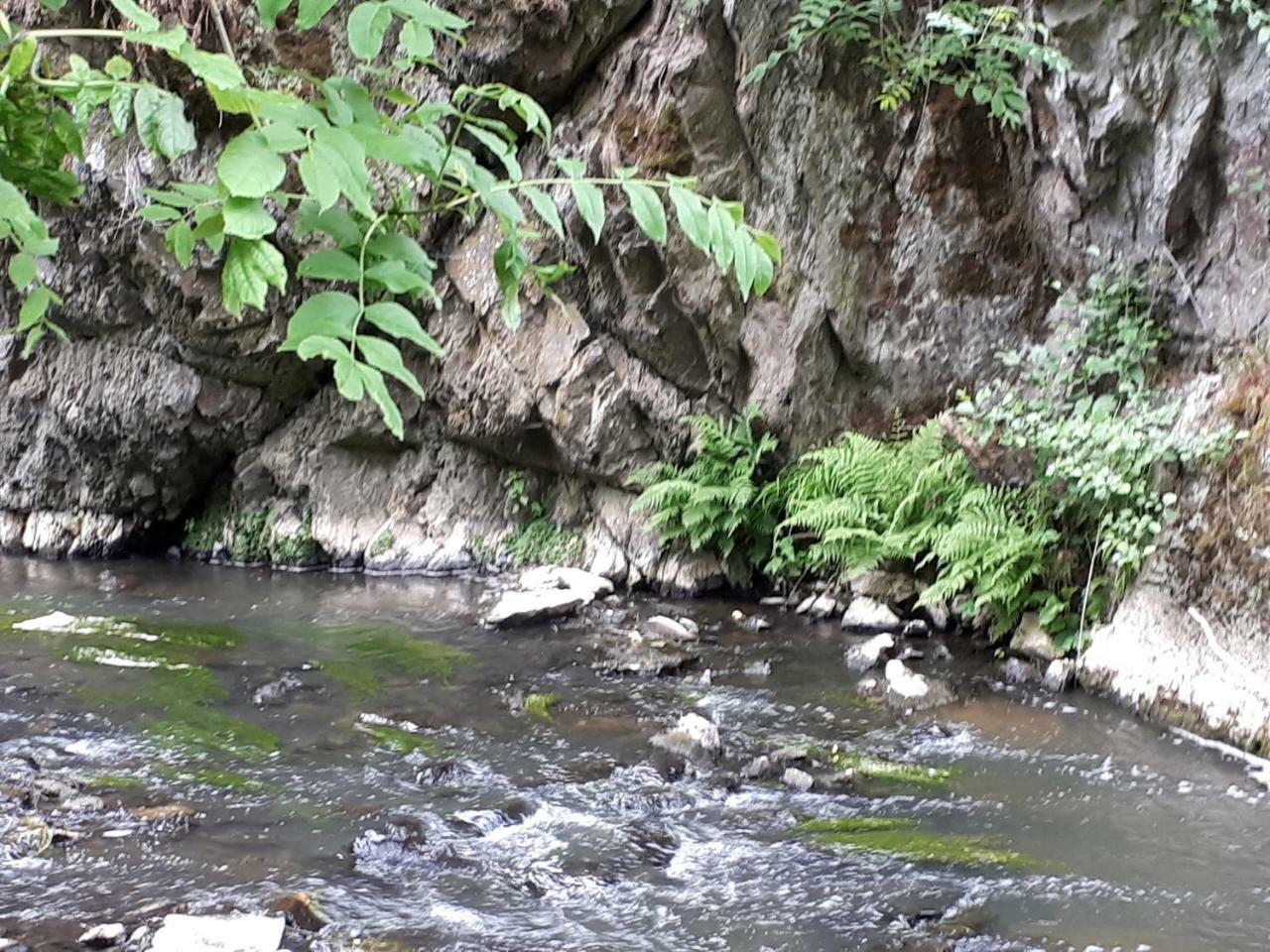 Herberg Die Alte Schleuse Manderscheid Εξωτερικό φωτογραφία
