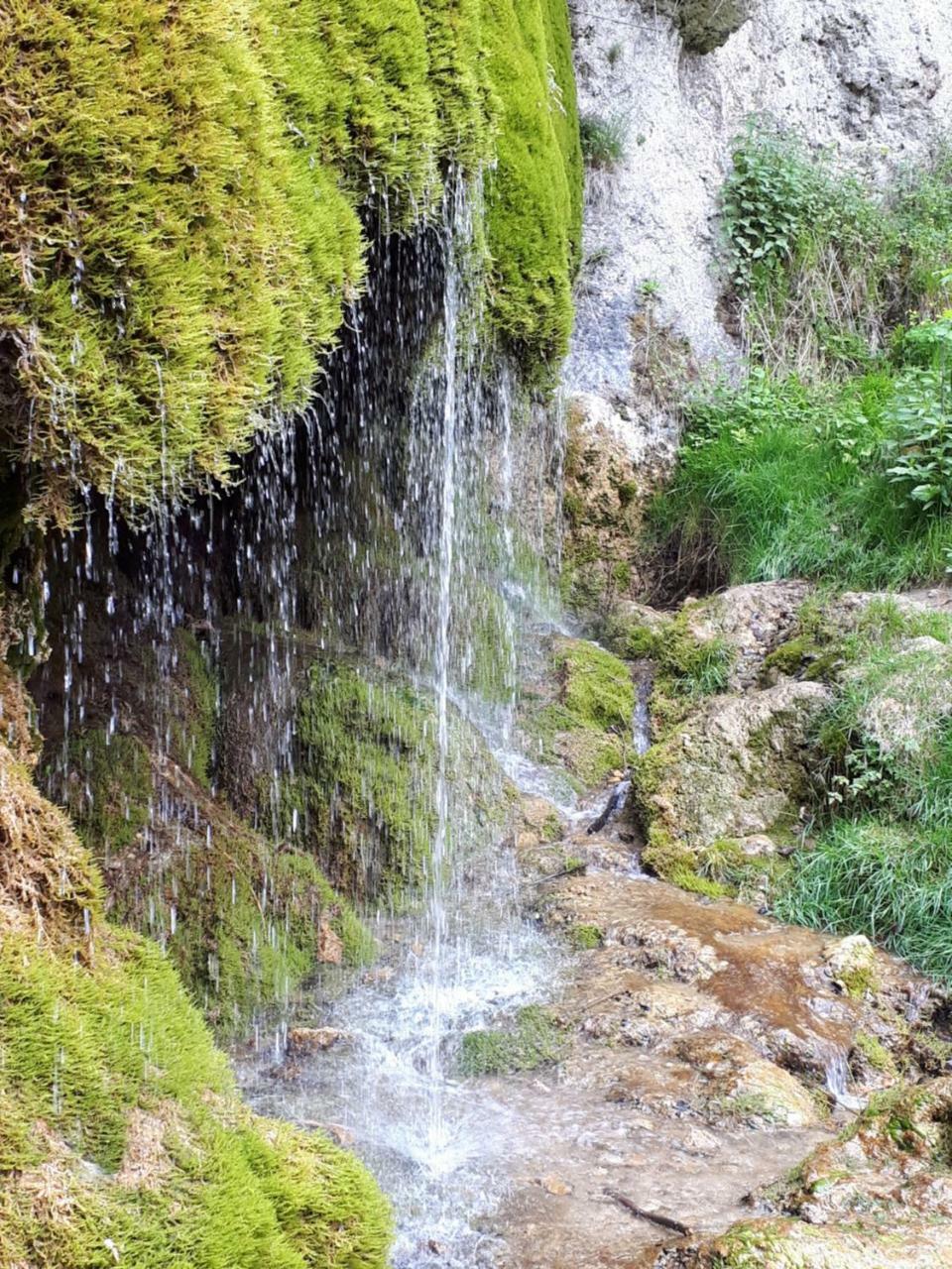 Herberg Die Alte Schleuse Manderscheid Εξωτερικό φωτογραφία